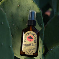 Thundercloud Creosote Spray bottle on a cactus plant