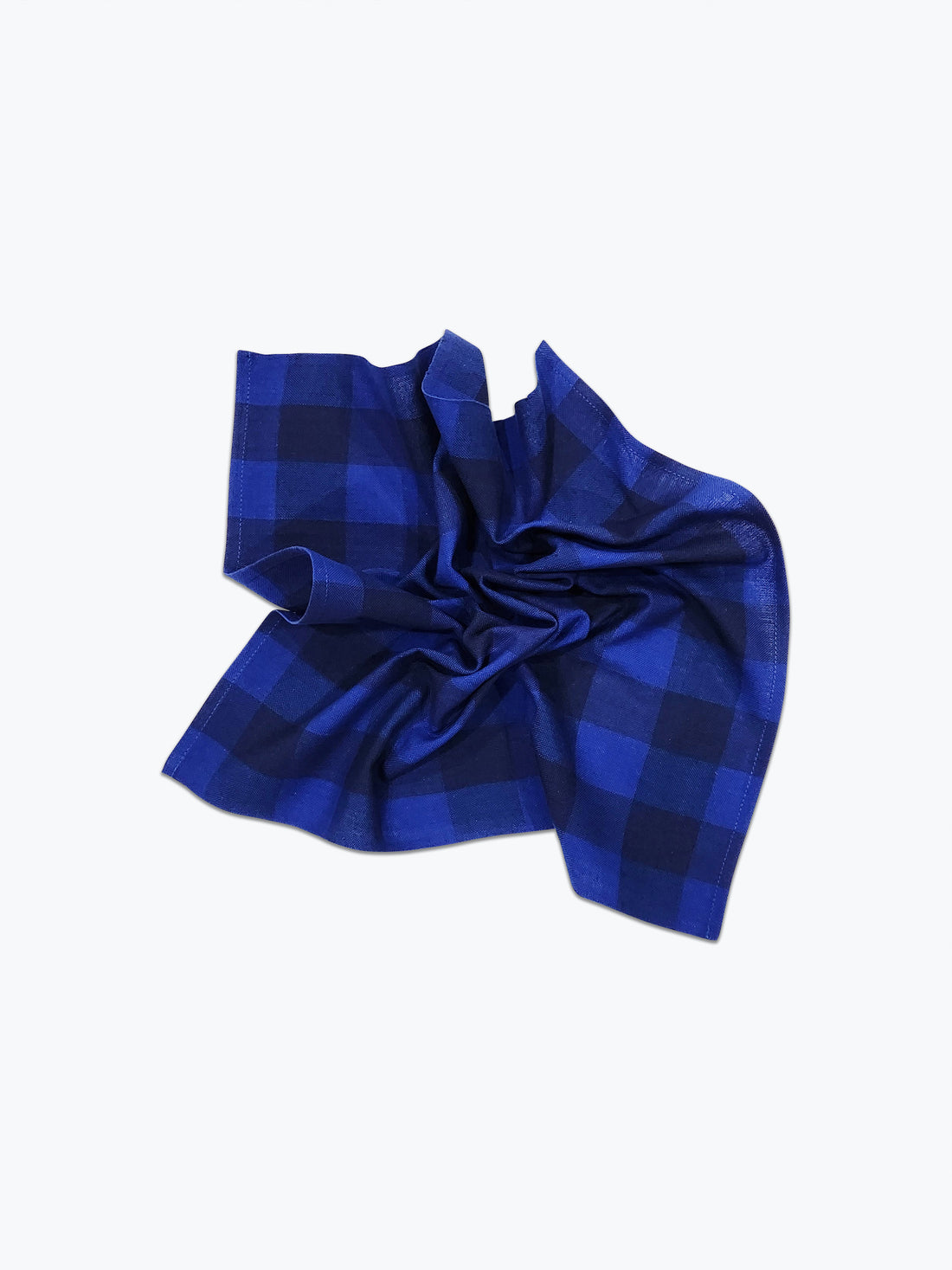 Big Gingham Napkin Pair - Cascade