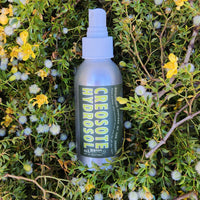 Spray bottle labeled 'Creosote Hydrosol' on a background of green foliage with yellow flowers.