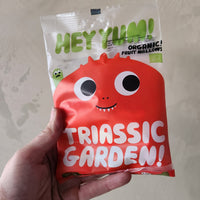A bag of organic fruit dinosaur shaped gummy candies.