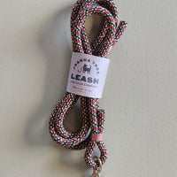 Dog Leash - Storm Warning