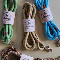 Set of colorful leashes with labels on a beige background