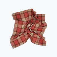 Red and beige plaid fabric on a white background