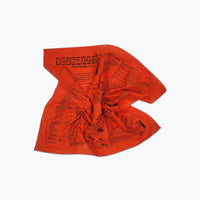 Bandana - Trail Safety