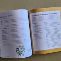 Open book on a green background with text and illustrations.