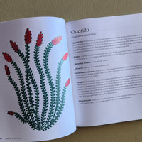Open book with a botanical illustration of a plant on one page and text on the other, against a plain background.