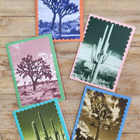 Desert Notecard - Jack's Land
