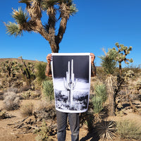 Giant Saguaro Cactus Poster Print in black and white