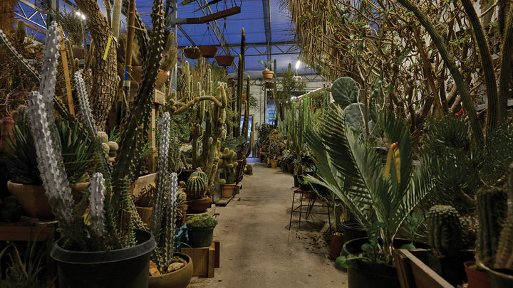 Recap: Foraging Supper Club with asi asi