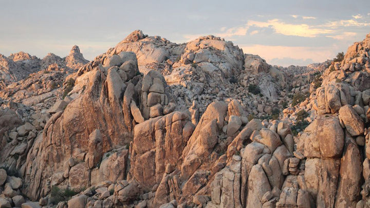 Giving Tuesday with The Mojave Desert Land Trust