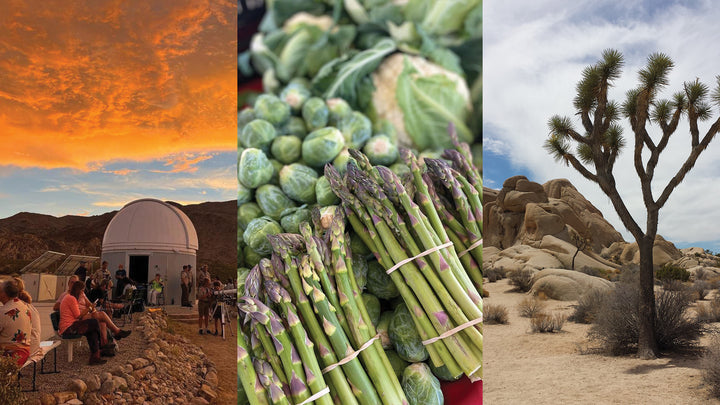7 Things to Do in The High-Desert This Winter