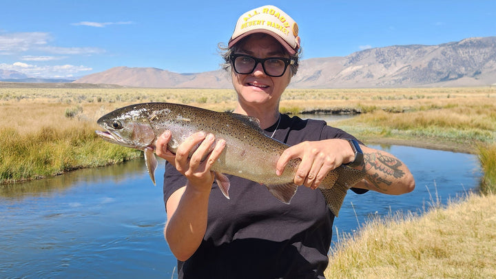 Notes from the Road Issue 010