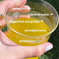 Debloat - Probiotic Hydration for Bloat + Gut Wellness
