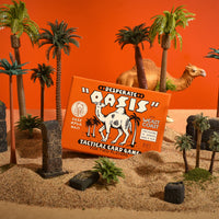 Card Game - Desperate Oasis