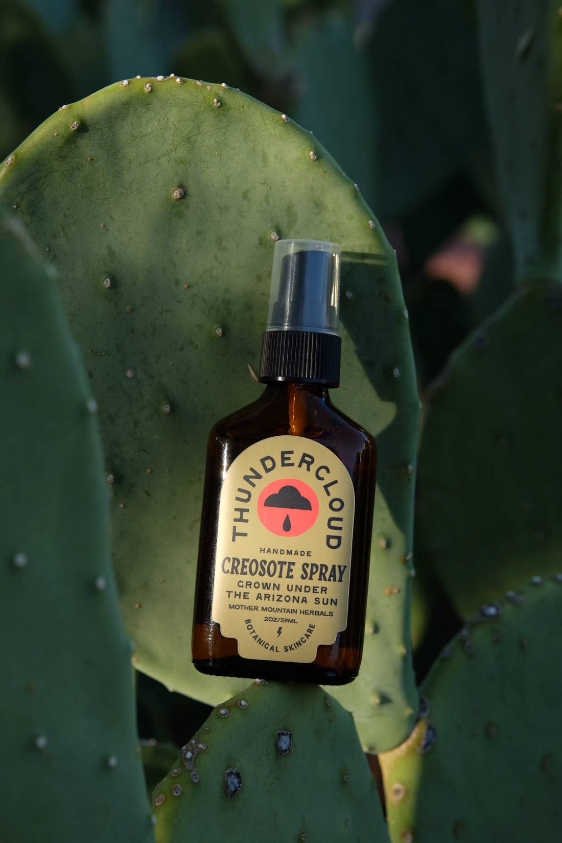 Thundercloud Creosote Spray bottle on a cactus plant
