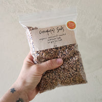 A hand holds a clear plastic bag filled with brown sunflower seeds against a textured off-white wall. The bag has a kraft paper label reading 'Ceremonial Seeds' and a small round orange sticker.