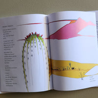 Book - Desert Voices