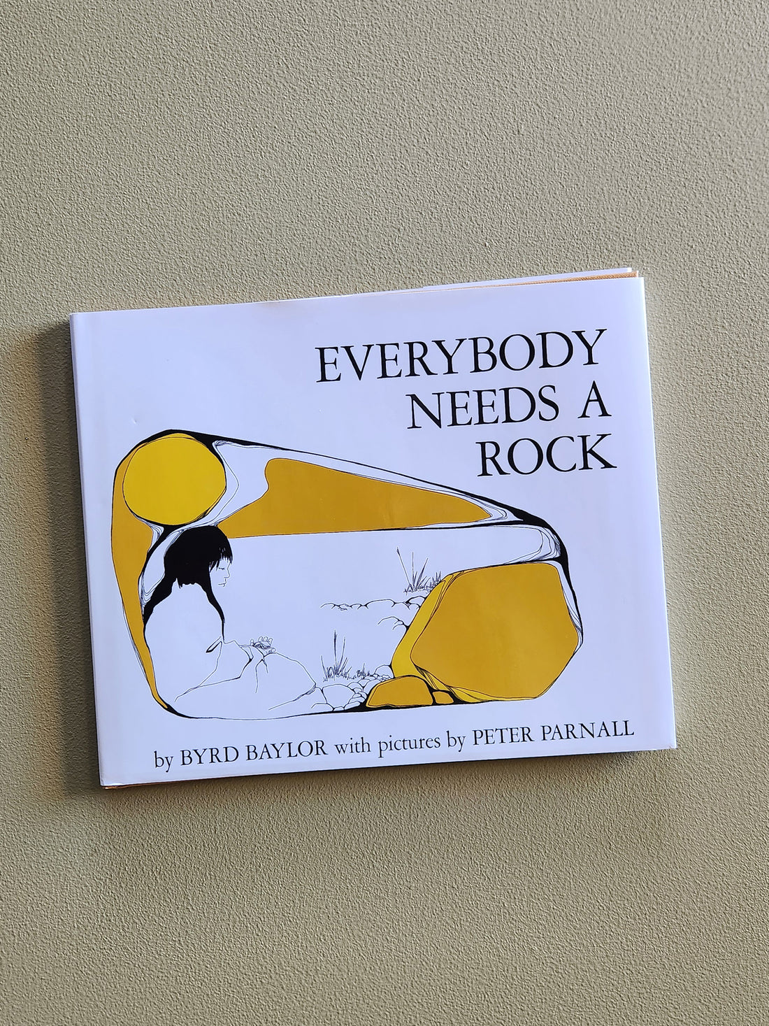 Book - Everybody Needs a Rock