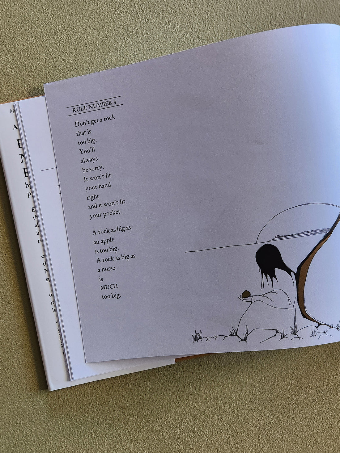 Book - Everybody Needs a Rock