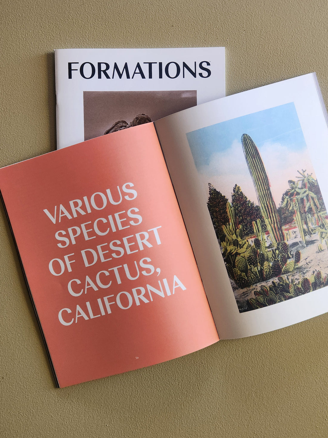 Open book showing images of desert cacti with a cover titled &