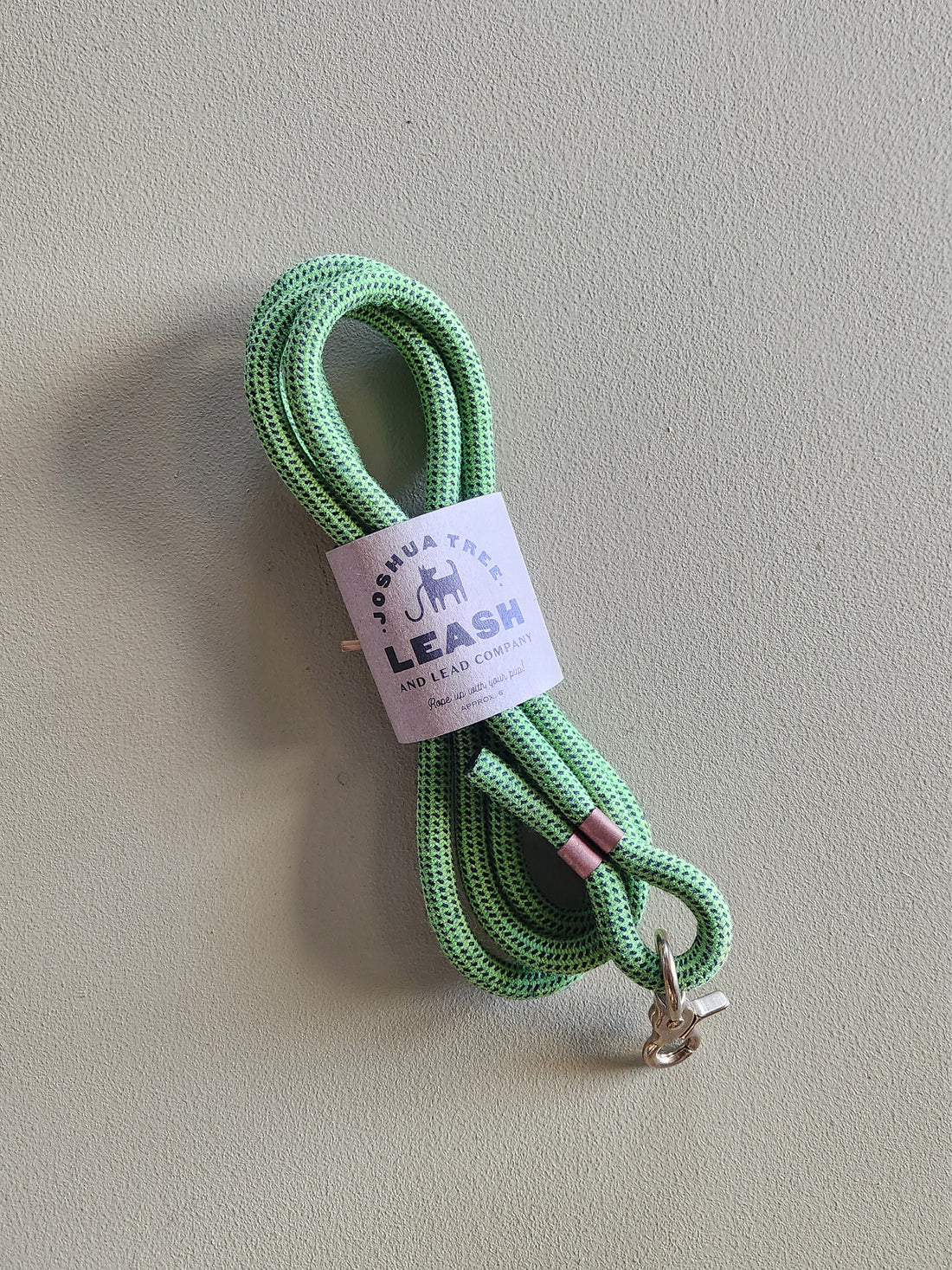Green dog leash with a label on a beige background