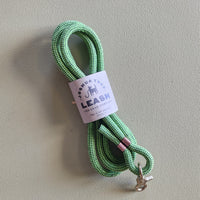 Green dog leash with a label on a beige background