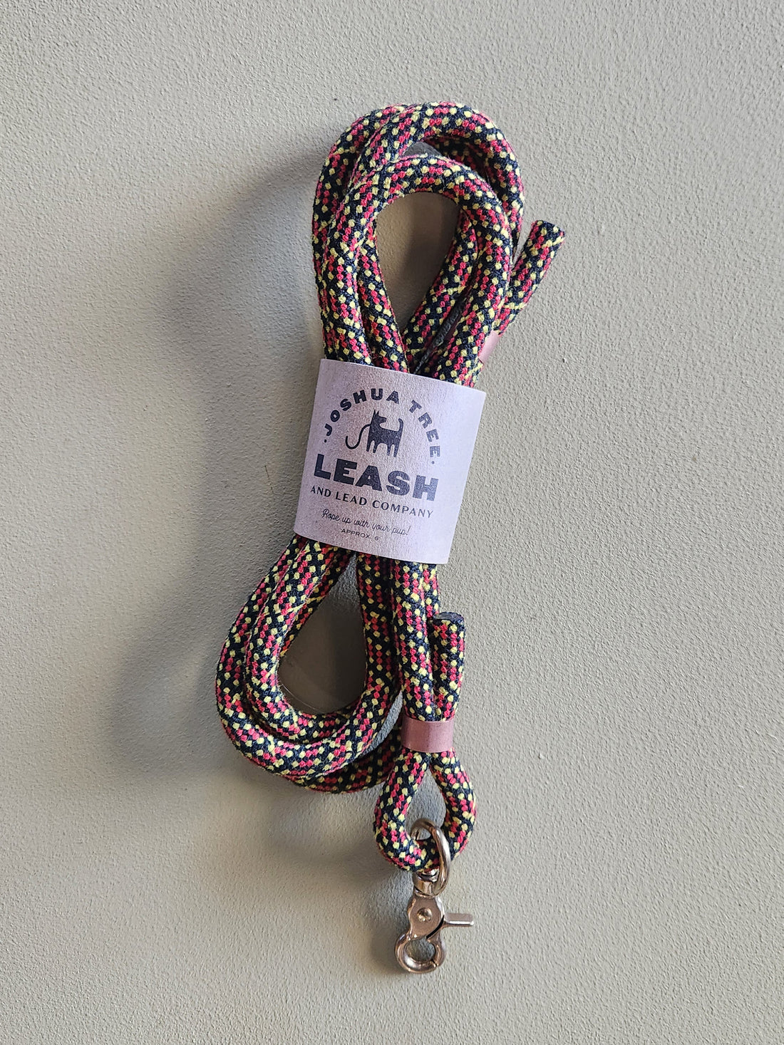 Dog Leash - Storm Warning