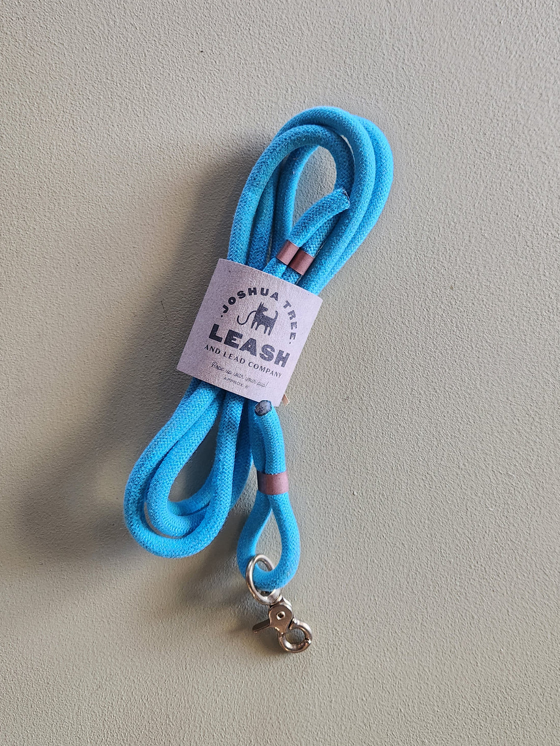 Blue leash with a label on a gray background