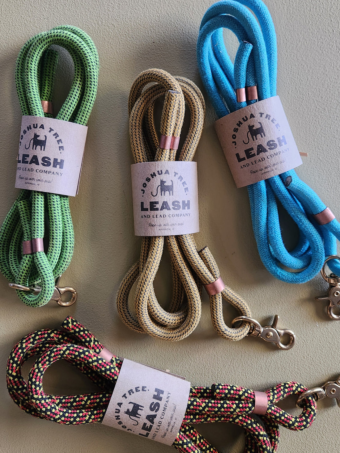 Set of colorful leashes with labels on a beige background