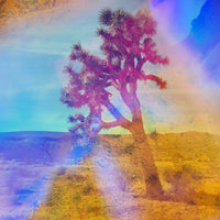 Prism Vision Camera Lens Filter