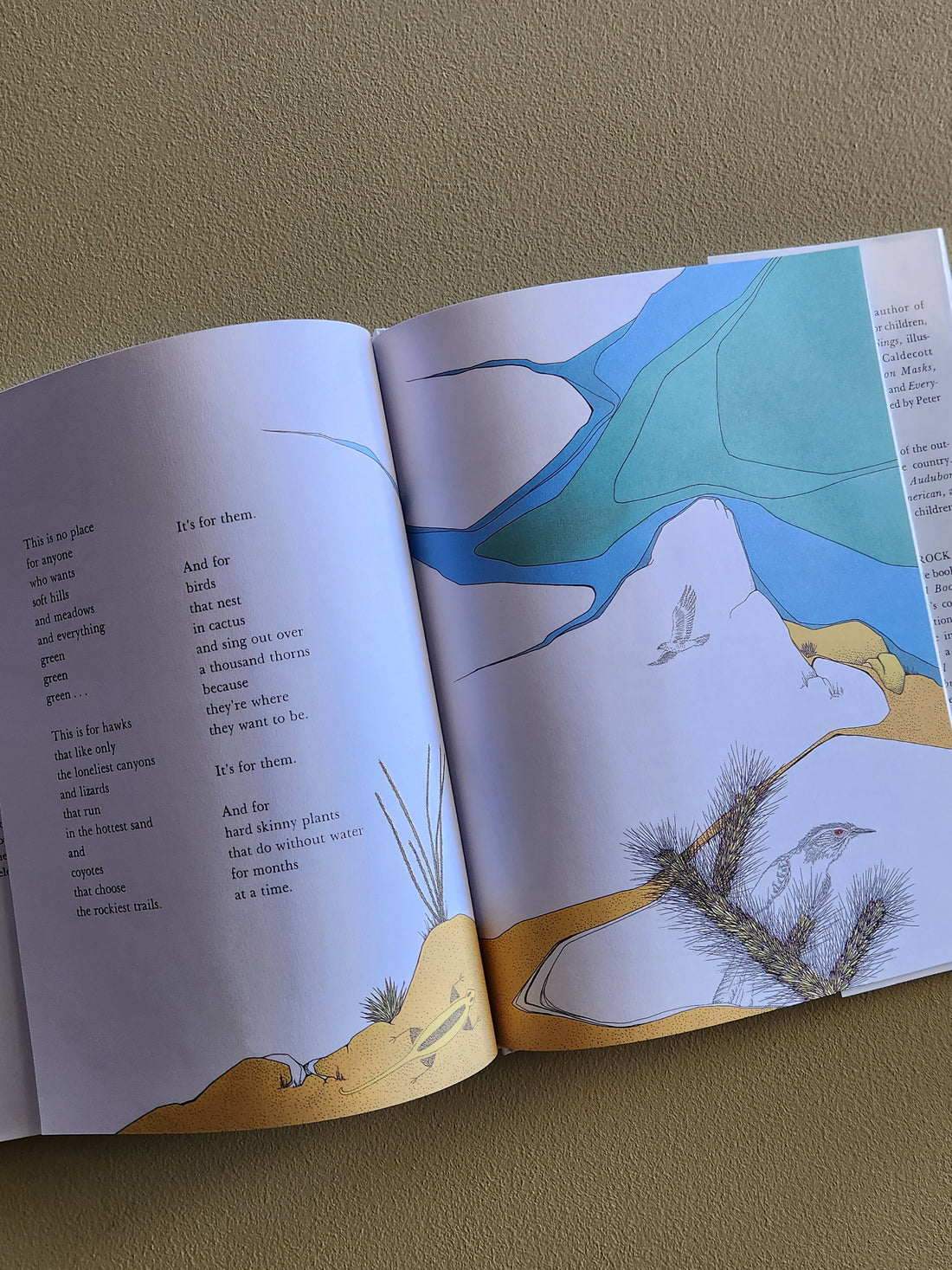 Book - The Desert is Theirs