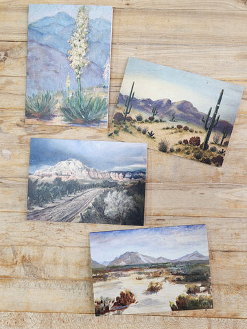 Painted Desert Notecard - Octotillo